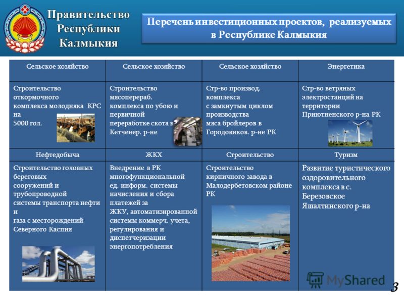 Реестр инвестиционных проектов с государственной поддержкой Реестр региональных инвестиционных проектов