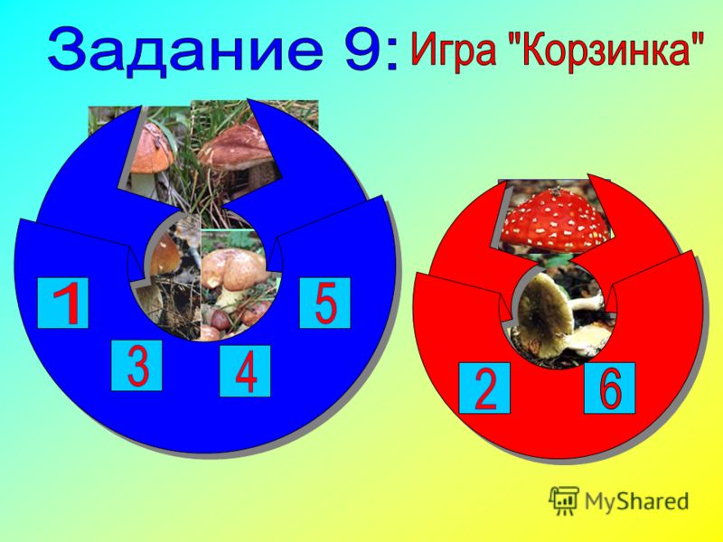 Образовательные поговорки Образовательные поговорки