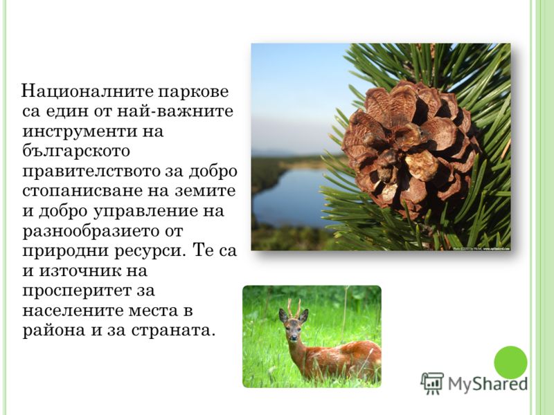 Националните паркове са един от най-важните инструменти на българското правителството за добро стопанисване на земите и добро управление на разнообразието от природни ресурси. Те са и източник на просперитет за населените места в района и за страната