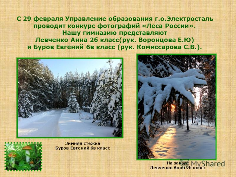 Конкурс по окружающему для 1 класса Конкурс по окружающему для 1 класса