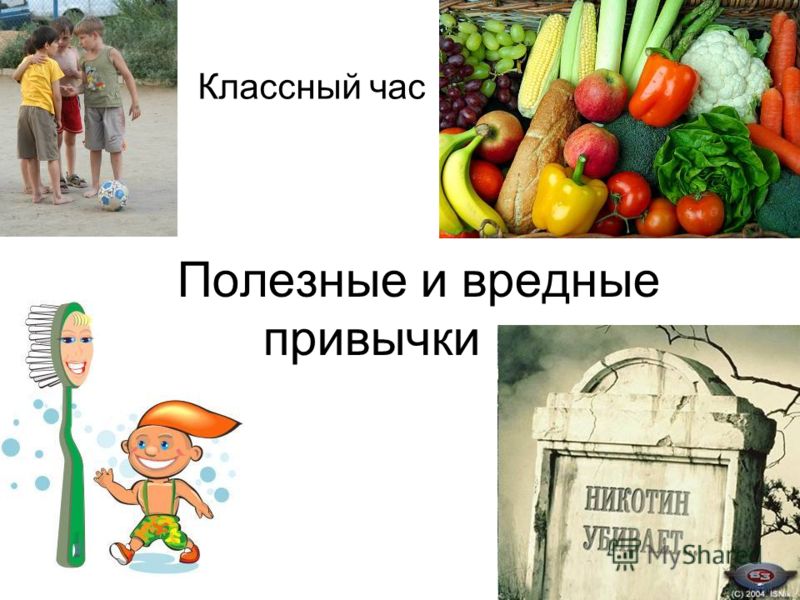 Реферат По Биологии Вредные Привычки Реферат По Биологии Вредные Привычки
