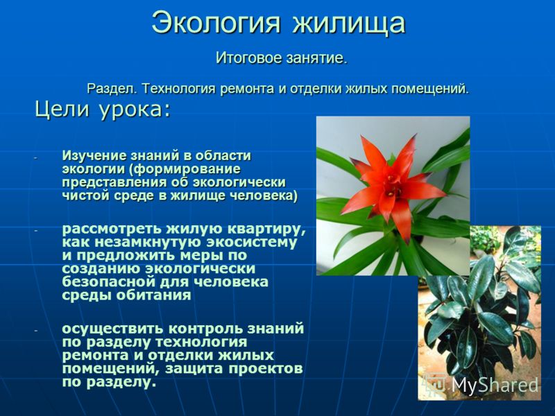 [PUNIQRANDLINE-(au-dating-names.txt) 29 Доклад о экологии жилища 2656