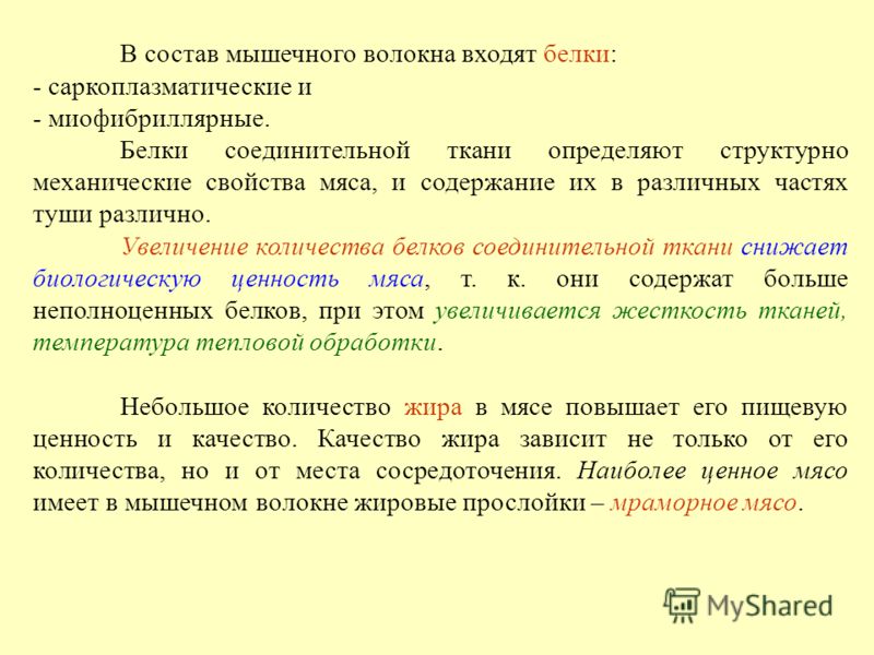 Сроки хранения мясных блюд из котлетной массы Сроки хранения мясных блюд из котлетной массы