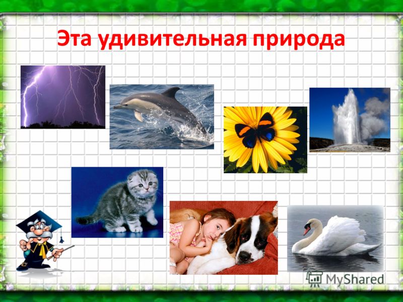 Презентация На Тему Минералы 3 Класс Окружающий Мир Презентация На Тему Минералы 3 Класс Окружающий Мир