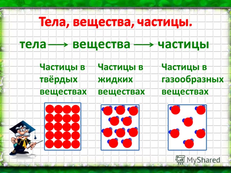 Доклад тело и вещество 6324