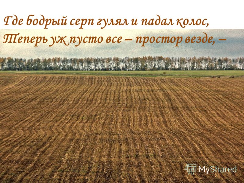 Картинки осени первоначальной Картинки осени первоначальной
