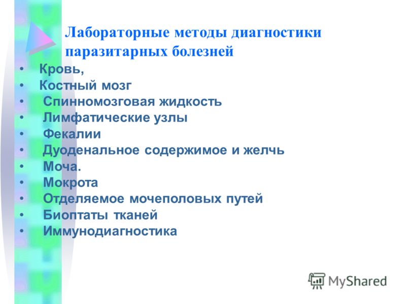 Косички на резинках пошагово Косички на резинках пошагово