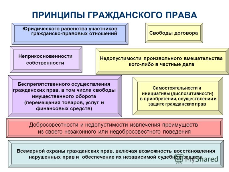 принципы гражданского права схема