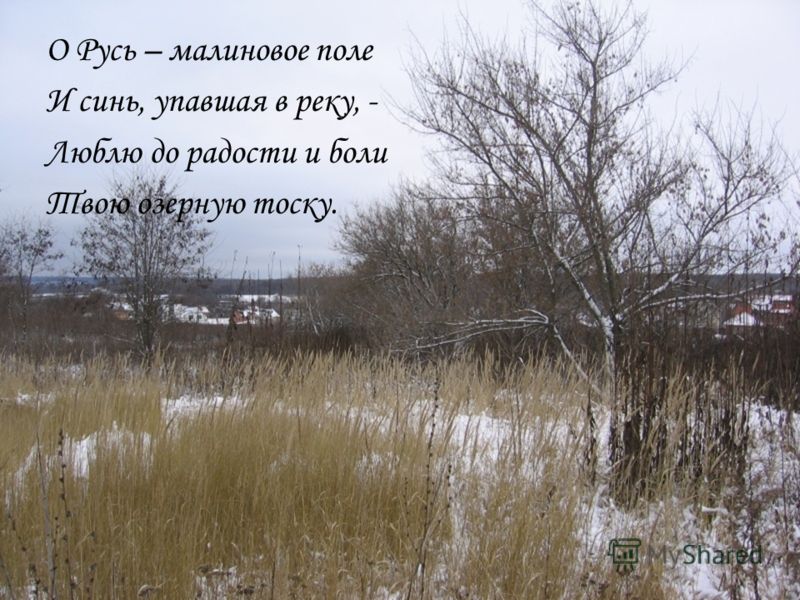 Есенин стих малиновое поле Есенин стих малиновое поле
