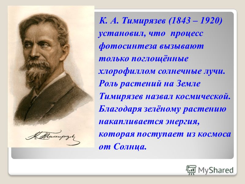 К. А. Тимирязев (1843 – 1920) установил, что процесс фотосинтеза вызывают только поглощённые хлорофиллом солнечные лучи. Роль растений на Земле Тимирязев назвал космической. Благодаря зелёному растению накапливается энергия, которая поступает из косм