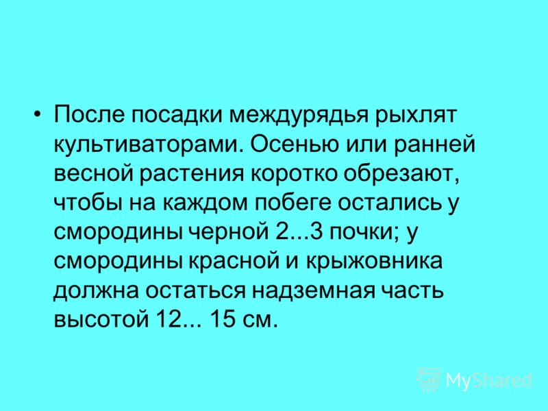 Венок на голову из гофрированной бумаги - Своими руками Венок на голову из бумаги. » Детские поделки. Детский сайт с