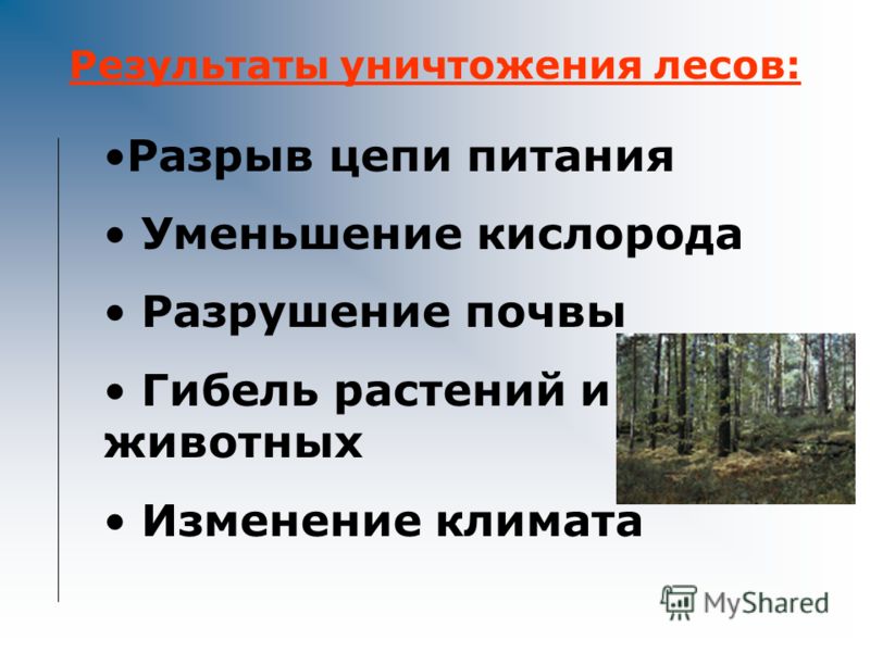 Причины уничтожения лесов: 1. Вырубка ради древесины 2. Выжигание, выкорчевывание деревьев для увеличения угодий