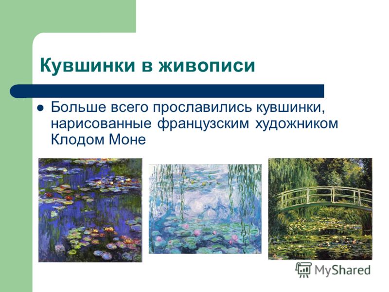 нарисованные картинки кувшинки онлайн