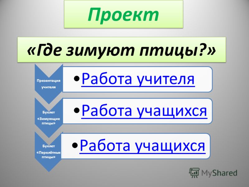 Зимующие птицы саратовского края картинки Зимующие птицы саратовского края картинки