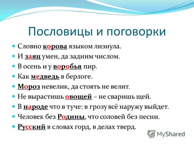 Поговорка такая корова Поговорка такая корова