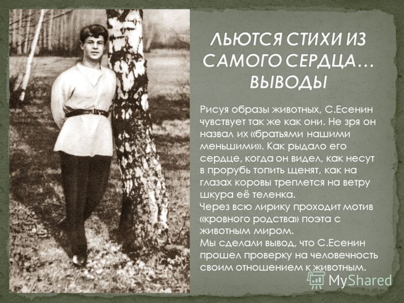 Сердце поэта стих Сердце поэта стих