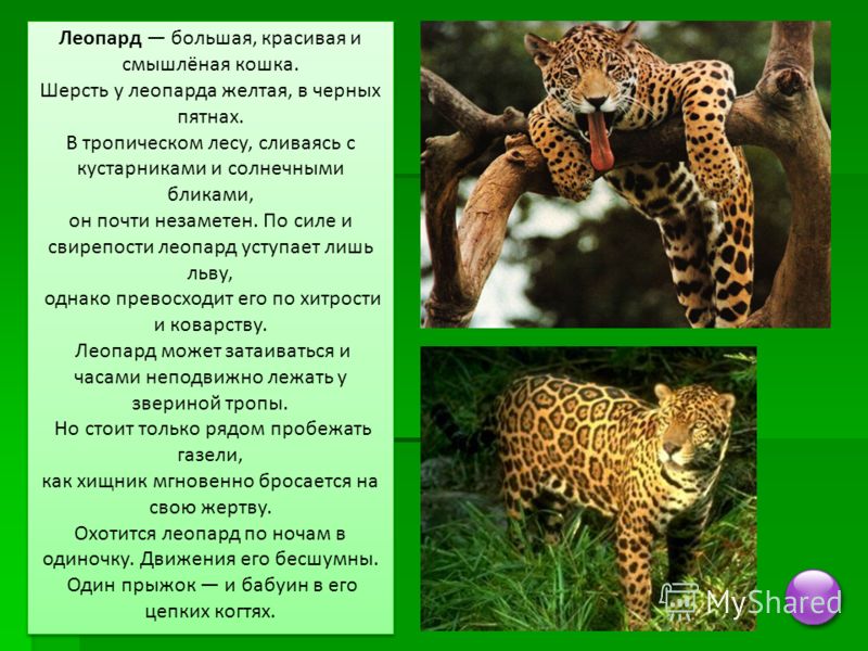 Надоело быть одной стих Надоело быть одной стих