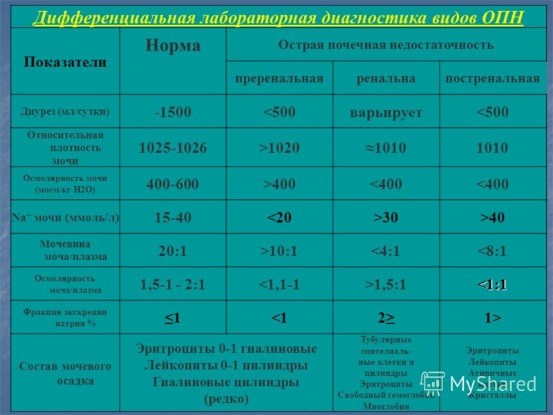 В ночное время величина диуреза уменьшается почему В ночное время величина диуреза уменьшается почему
