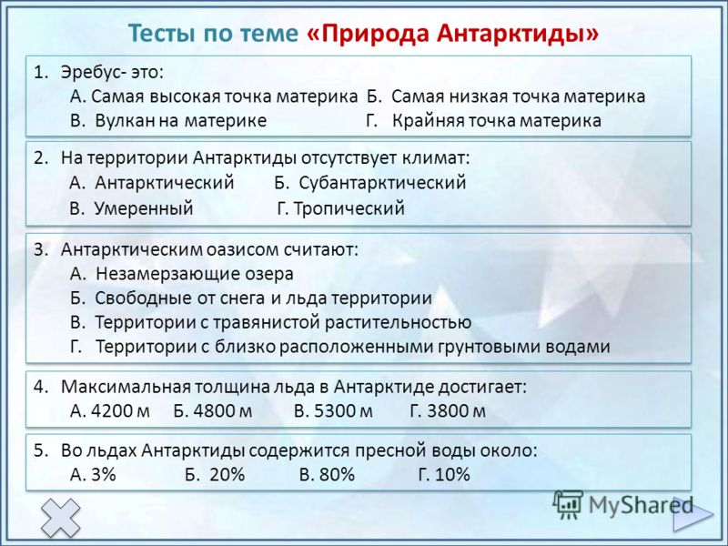 Проект про антарктиду фото HobbiArt.ru