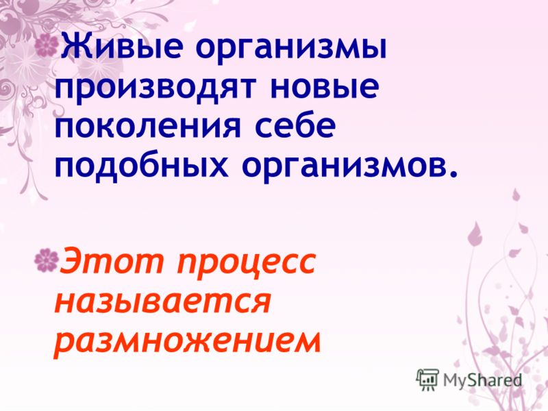 Вещие сны которые снятся днем Вещие сны которые снятся днем