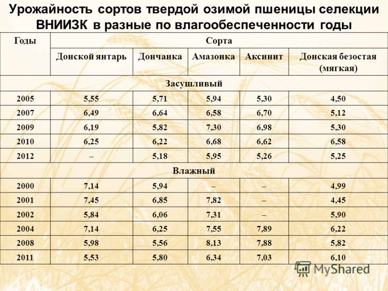 Томаты чудо земли, чудо уолфорда, чудо внуковой: описание и Томат аргентинское чудо : продажа, цена в Днепропетровской