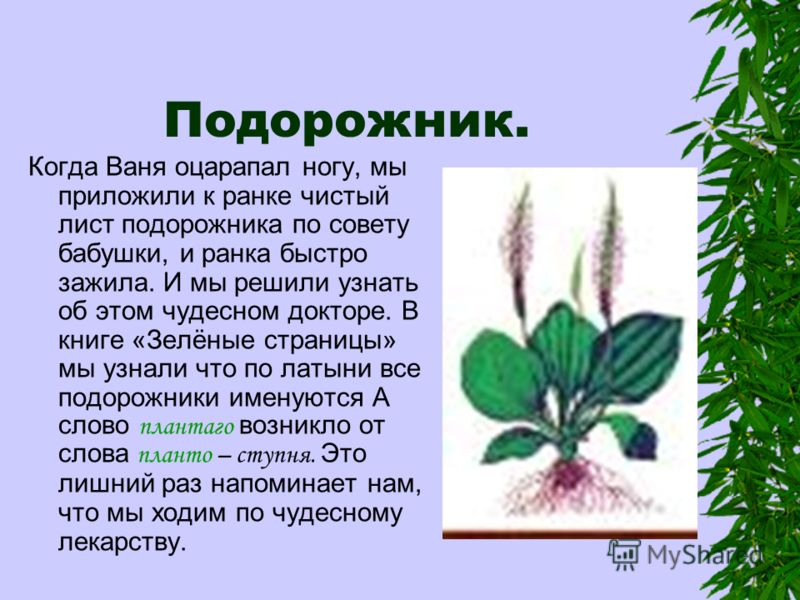 Картинки СТИХ ИЗ КНИГИ ПОДОРОЖНИК