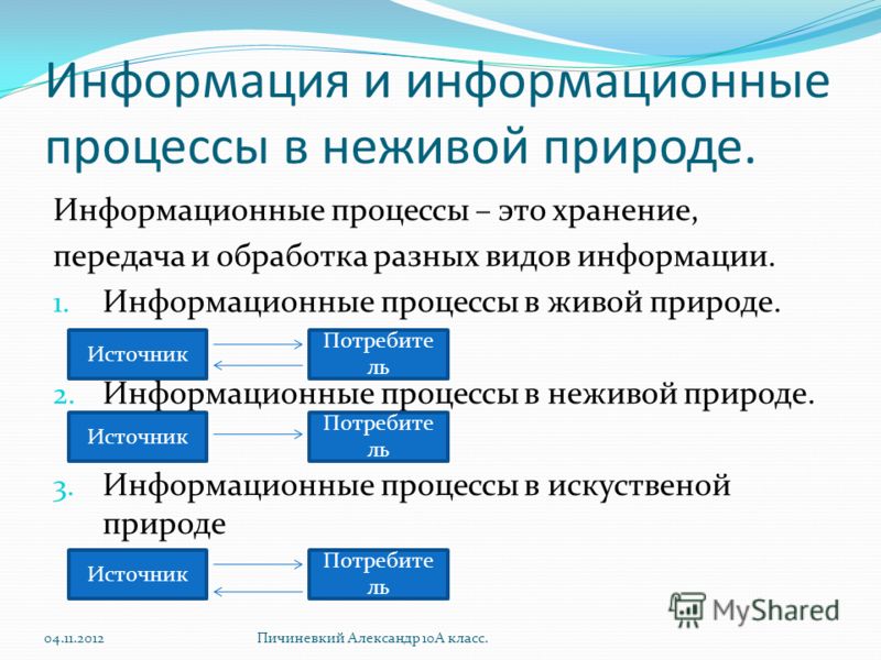 Картинки информация в живой природе Картинки информация в живой природе