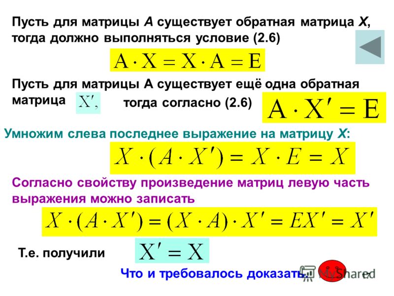 Матрицы и действия над ними примеры