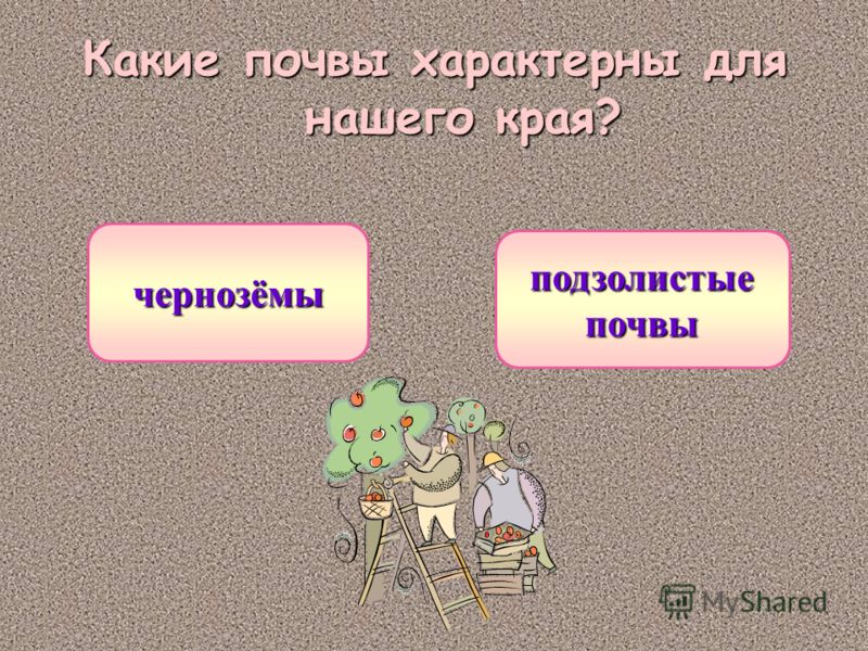 Окружающий мир 3 класс тема почва тест