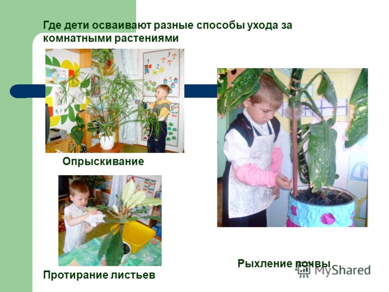 Руководство по эксплуатации опель корса в Руководство по эксплуатации опель корса в