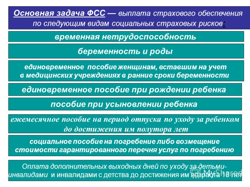 Календарь высадки семян в грунт