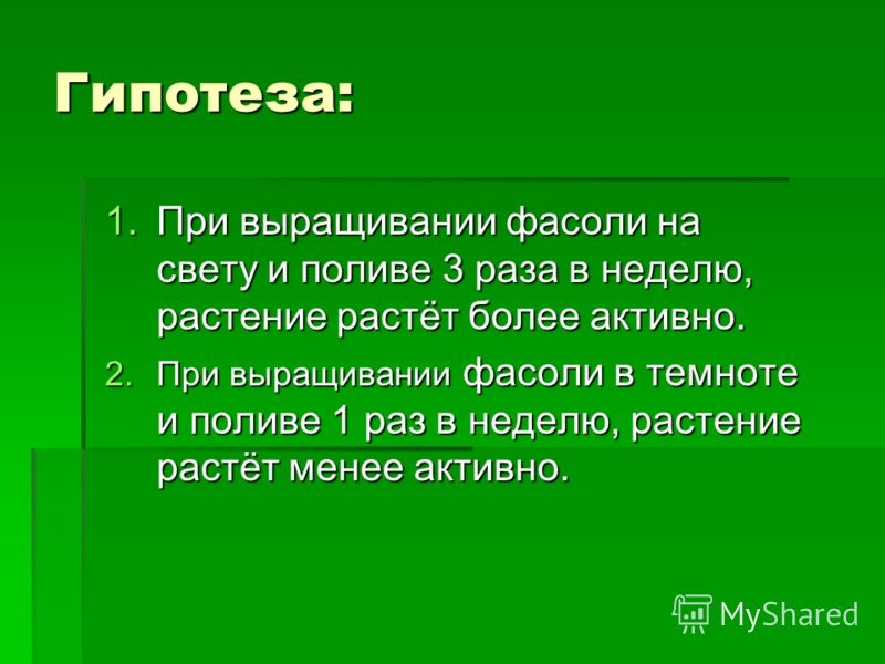 Презентация на тему: "Проект "Выращивание фасоли в разных" условиях Выполнили: К