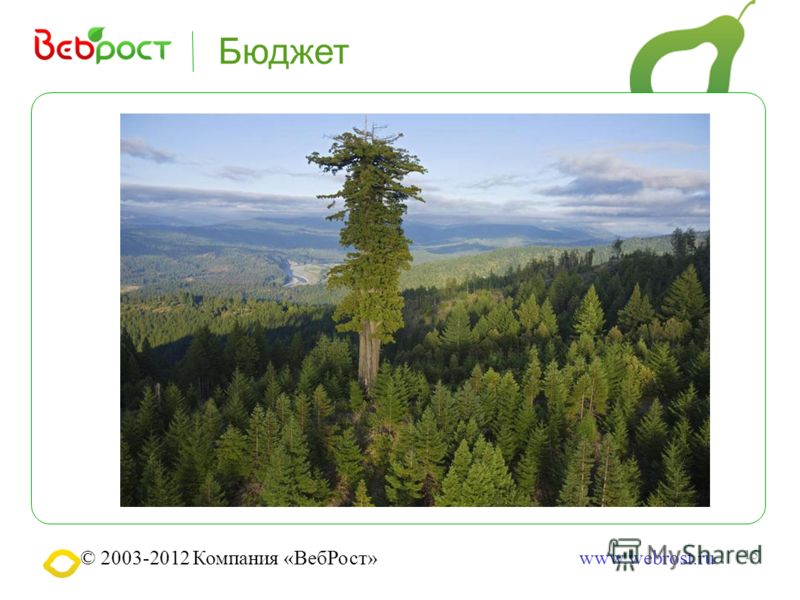 15 © 2003-2012 Компания «ВебРост»www.webrost.ru Бюджет