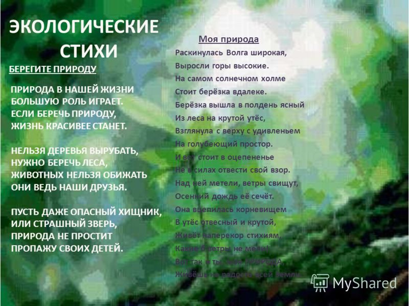 Стих о природе и экологии Стих о природе и экологии
