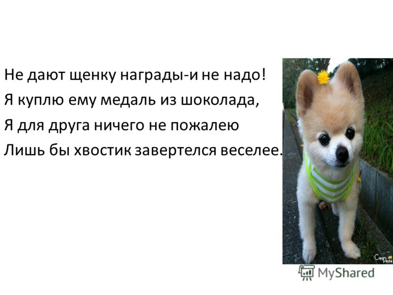 Зубы разной длины - Стоматология - бесплатная. - Здоровье Значения Рун