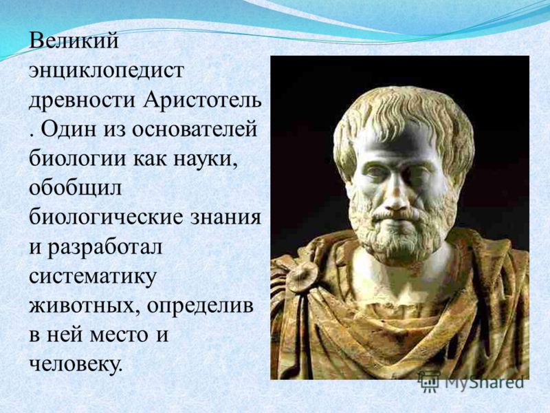 Ремонт колонки нева 4511 видео Ремонт колонки нева 4511 видео