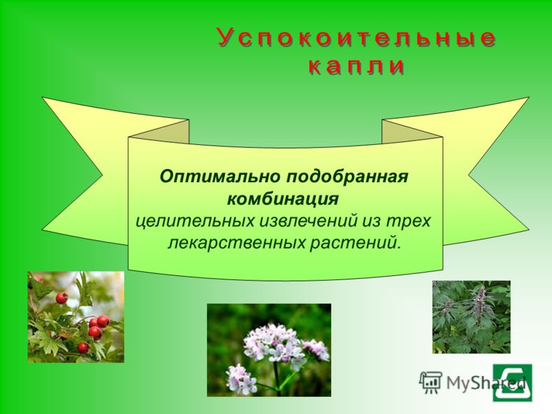 Оптимально подобранная комбинация целительных извлечений из трех лекарственных растений.