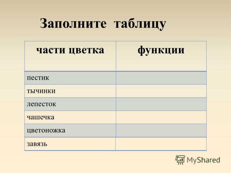 Заполните таблицу строение цветка