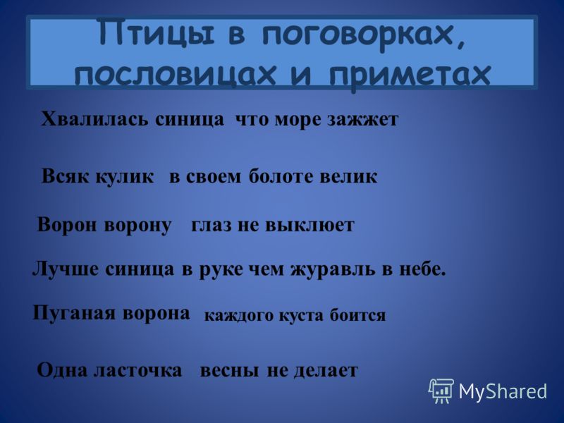 Вить гнезда пословица Вить гнезда пословица