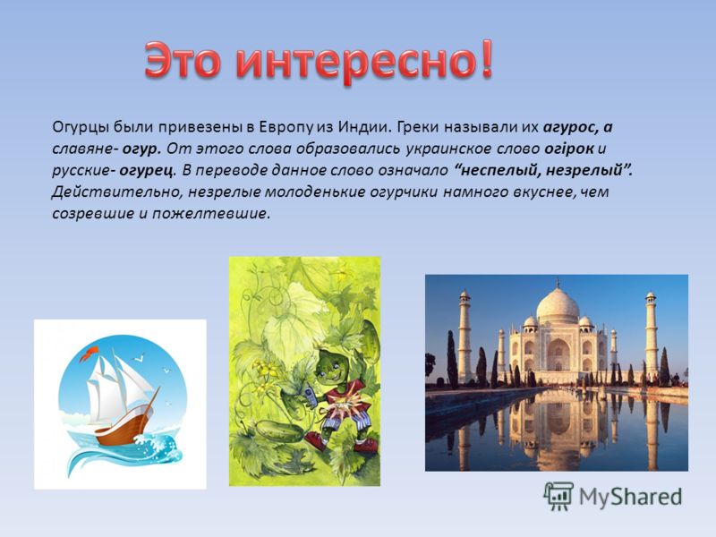 Смотреть фильм глубокое синие море онлайн в хорошем качестве