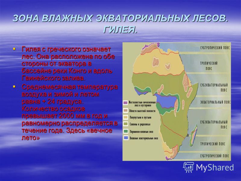 Географическое расположение влажных экваториальных лесов