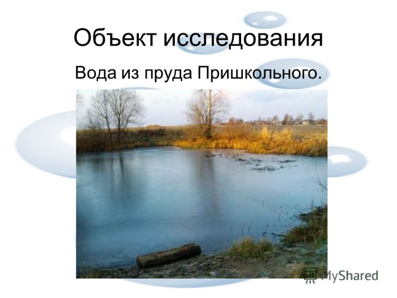 Объект исследования Вода из пруда Пришкольного.