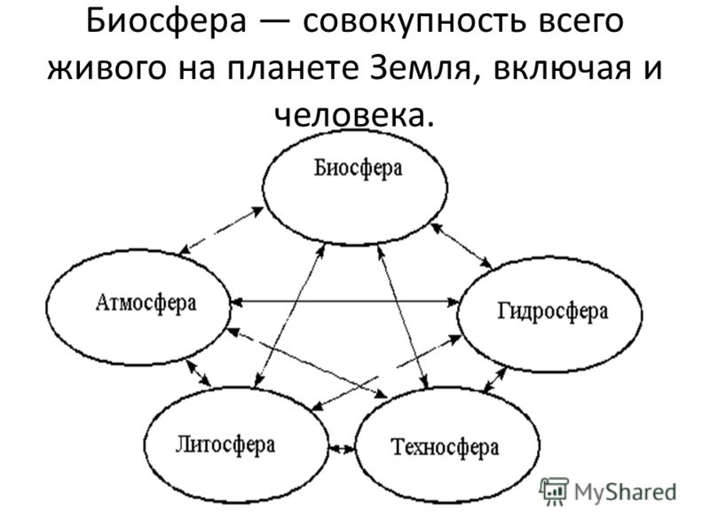 Связь биосферы с другими оболочками земли схема фото 150