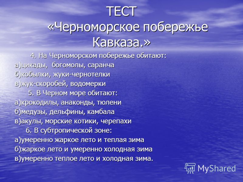 Презентация на Тему Дельфины 4 Класс