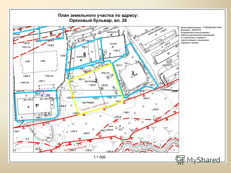 Договора Аренды Земельного Участка Магазина