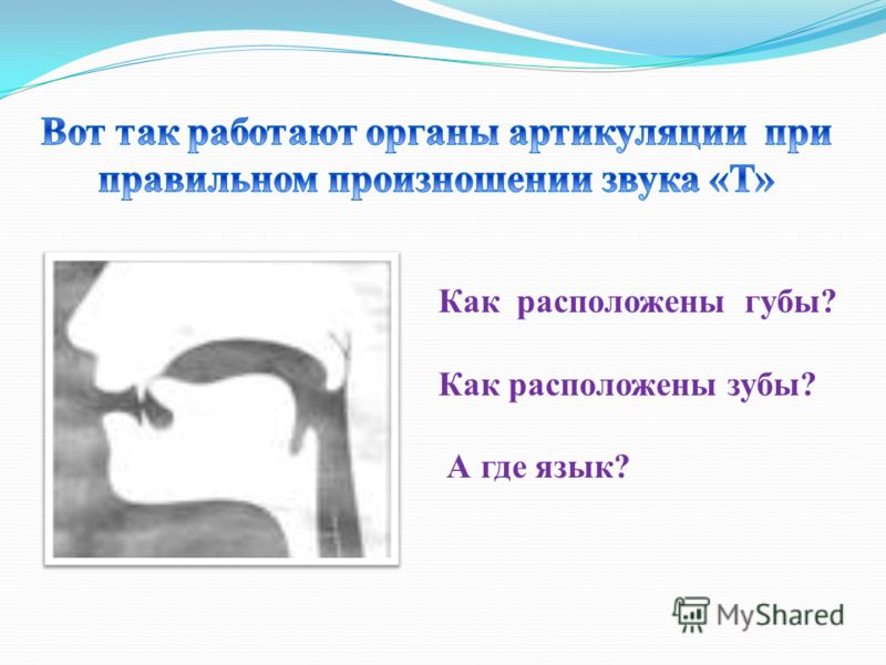 результат презентация произношение звук т должен