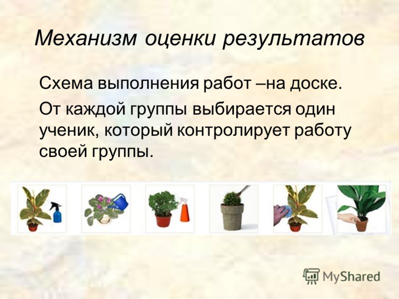 Работа связанная с растениями Работа связанная с растениями