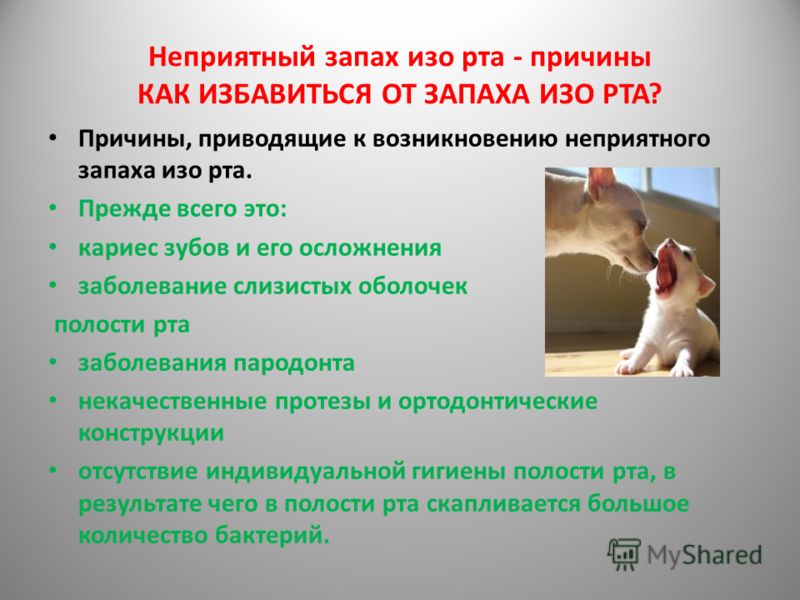 кариес запах изо рта кариес запах изо рта