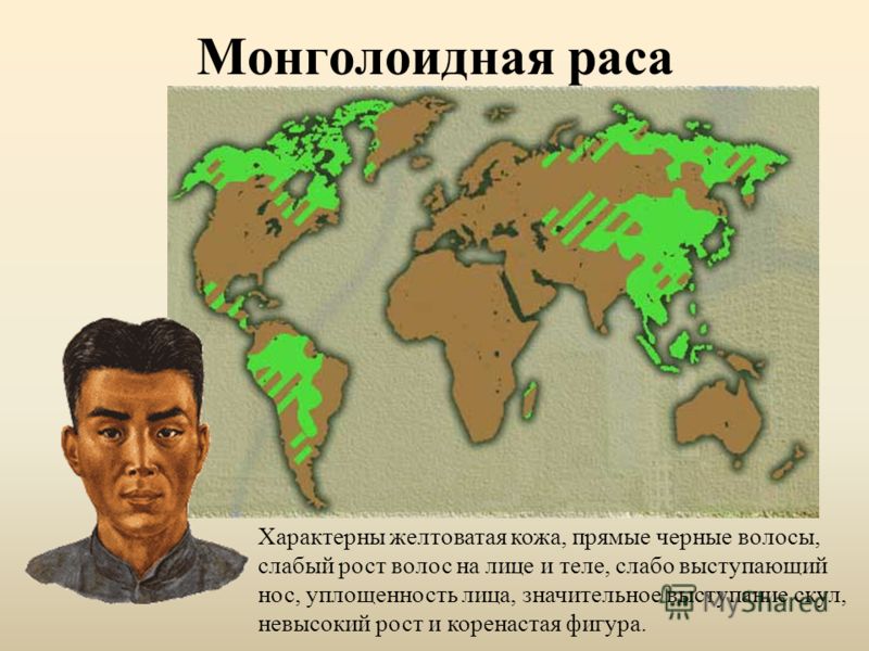 Блог о культработниках Сценарии Баня с односкатной крышей своими руками фото