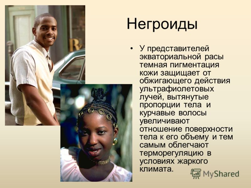 Отношение одной расы к другой Отношение одной расы к другой